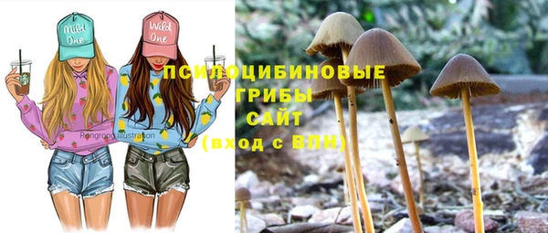 дистиллят марихуана Новозыбков