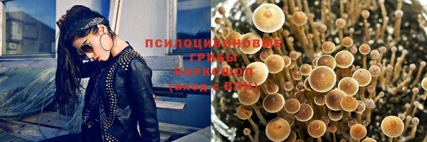 дистиллят марихуана Новозыбков